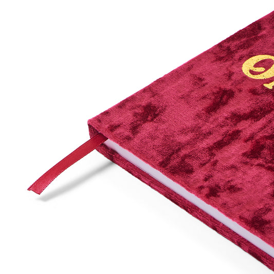 Alpha Gamma Delta Velvet Notebook with Gold Foil Imprint