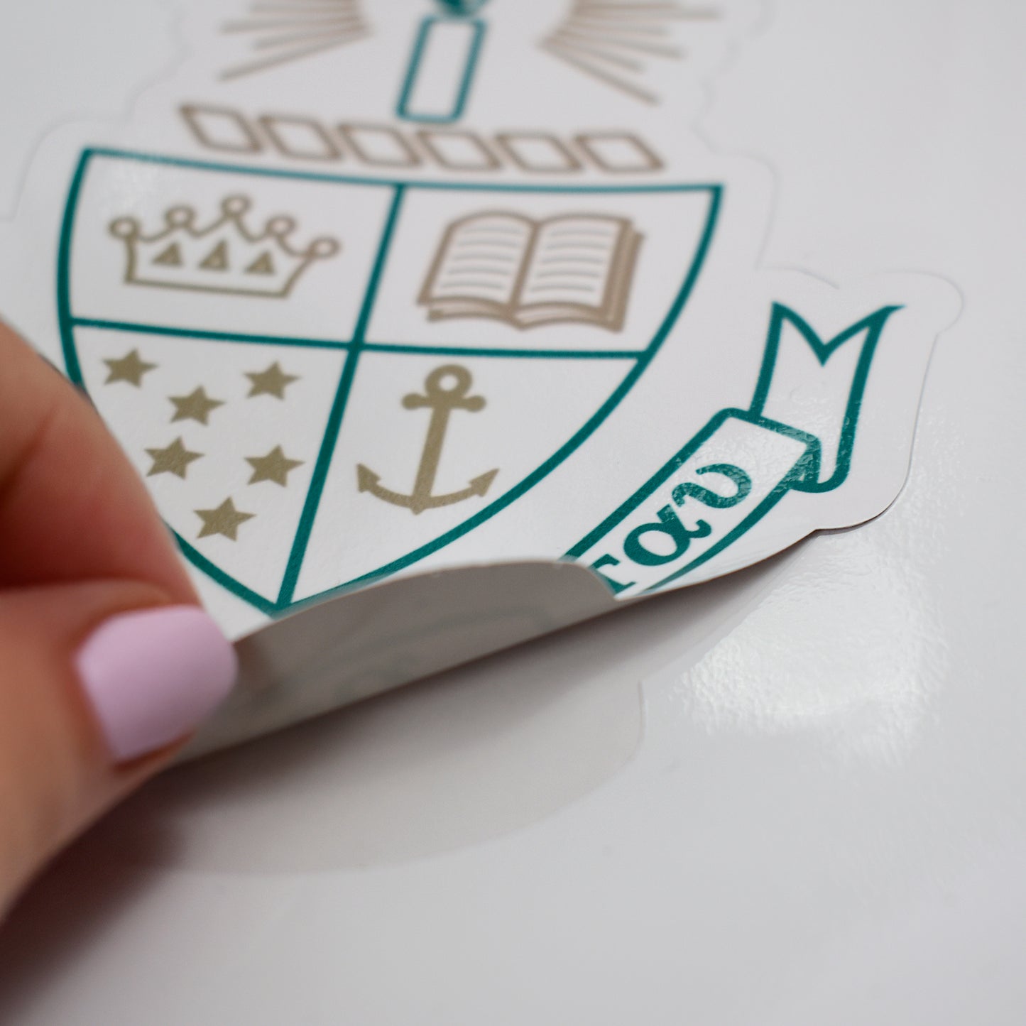 Phi Sigma Rho Sorority Sticker Sheet- Brand Focus
