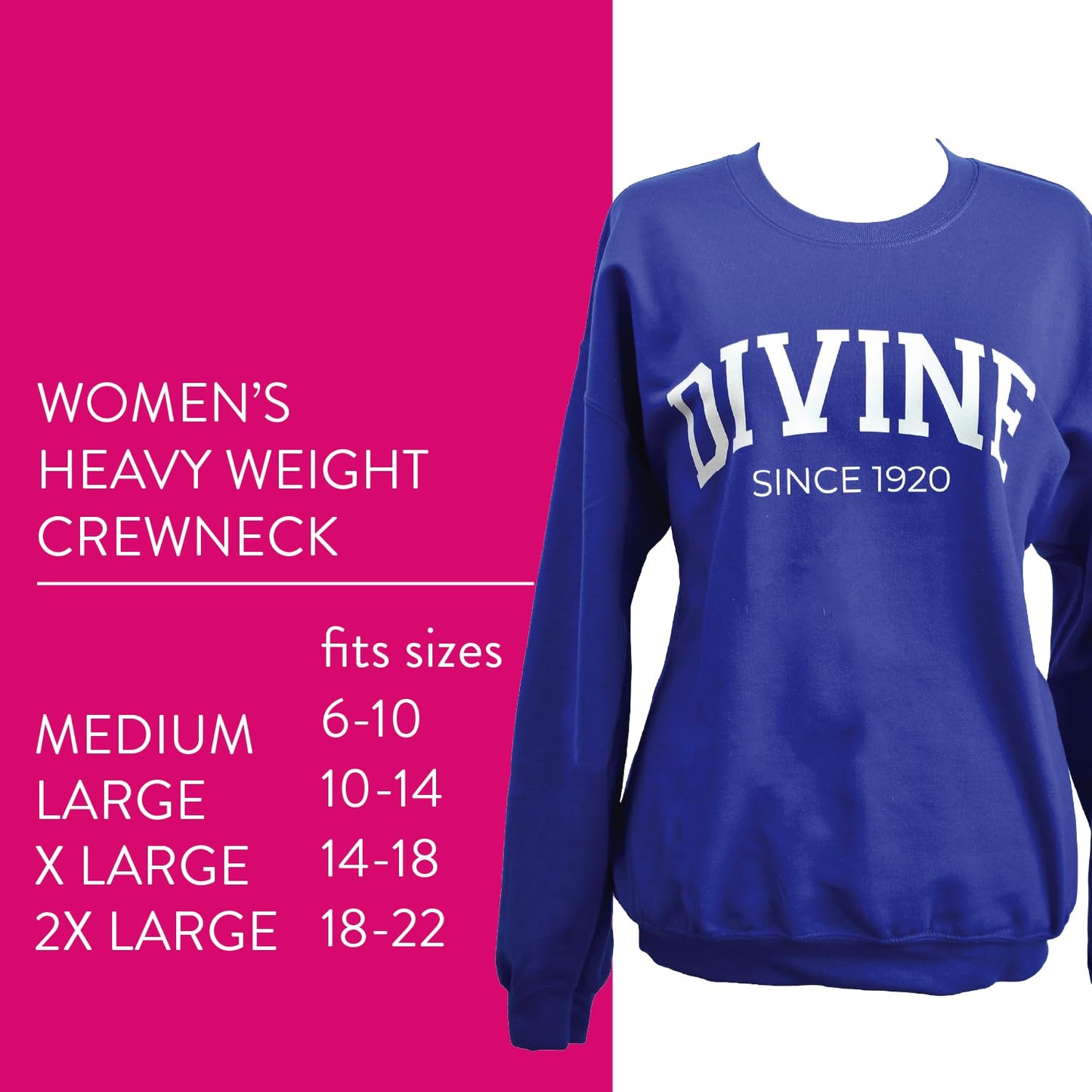 Zeta Phi Beta Sorority, Incorporated Sweatshirt- Divine and Sorority Name Design