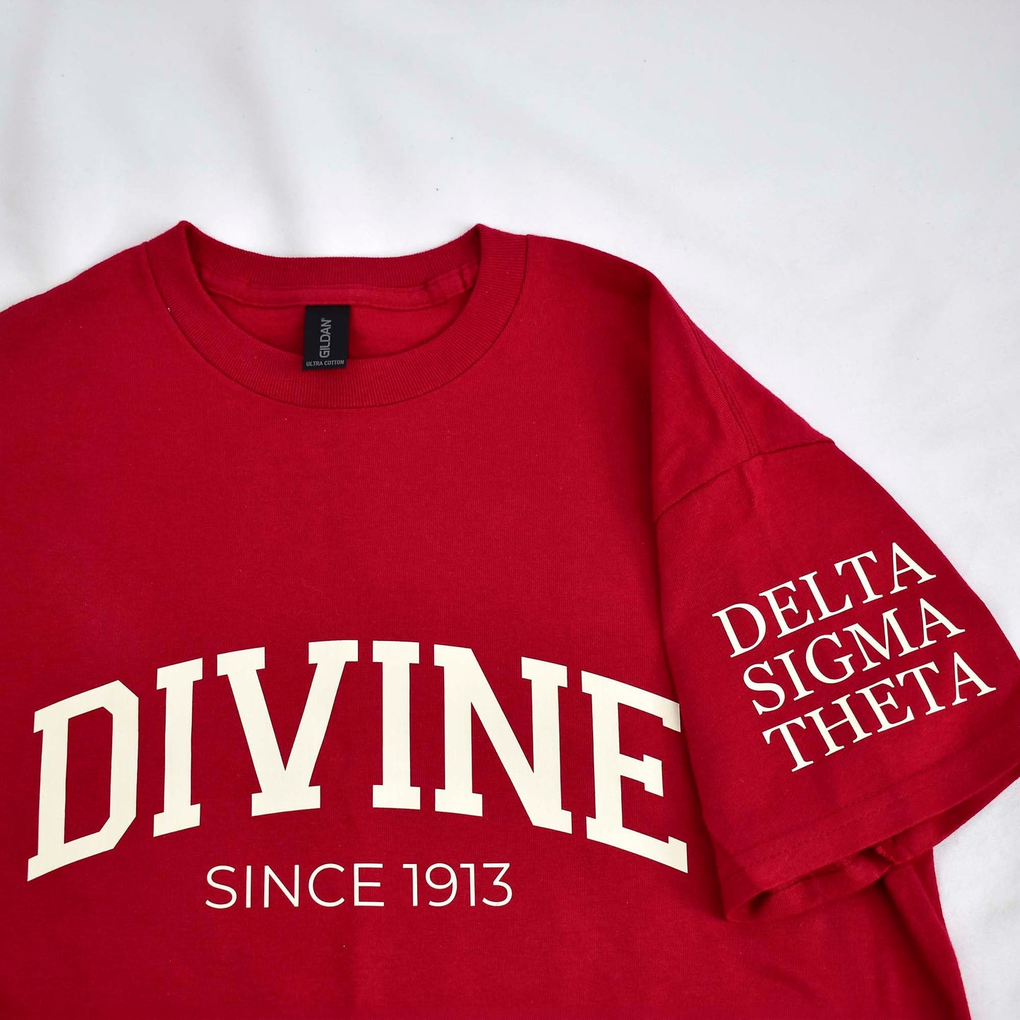 Delta Sigma Theta Sorority, Incorporated T-Shirt- Divine and Sorority Name Design