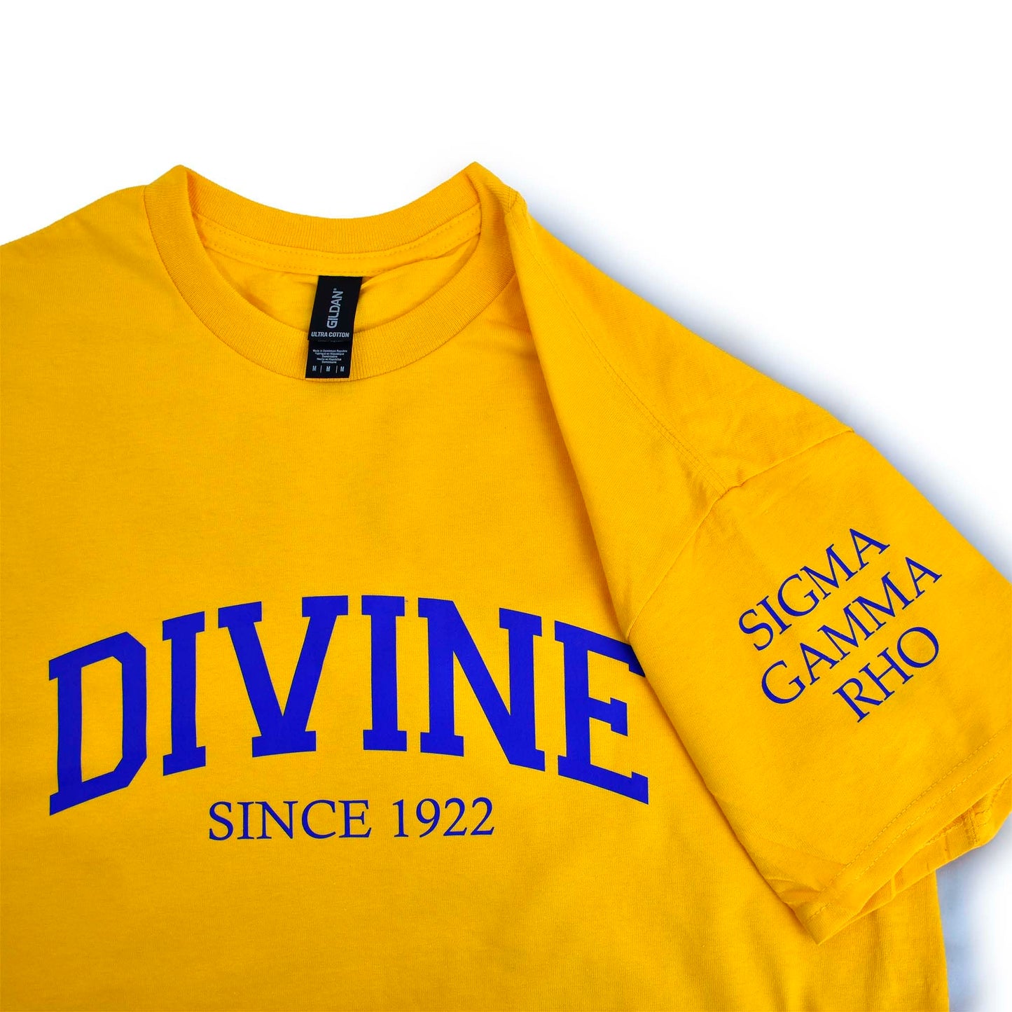 Sigma Gamma Rho Sorority, Incorporated T-Shirt- Divine and Sorority Name Design