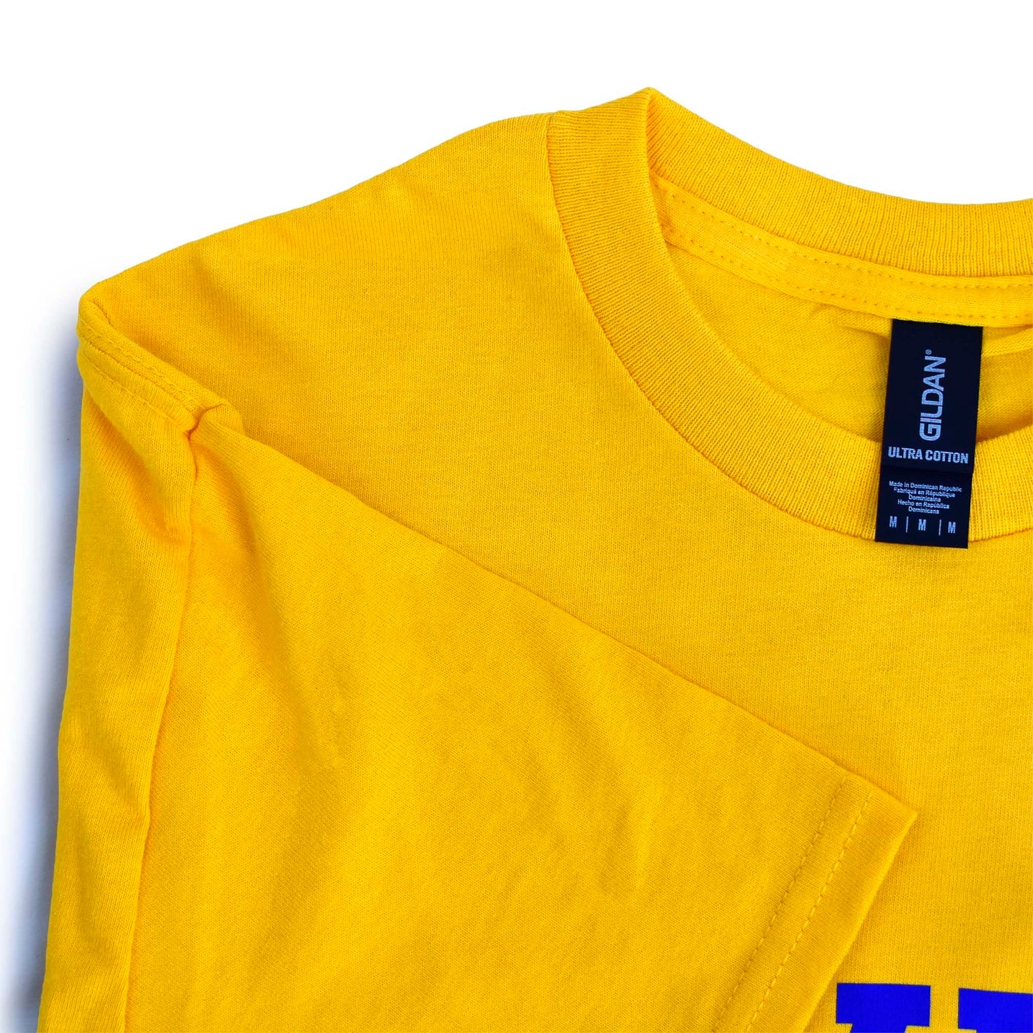 Sigma Gamma Rho Sorority, Incorporated T-Shirt- Divine and Sorority Name Design