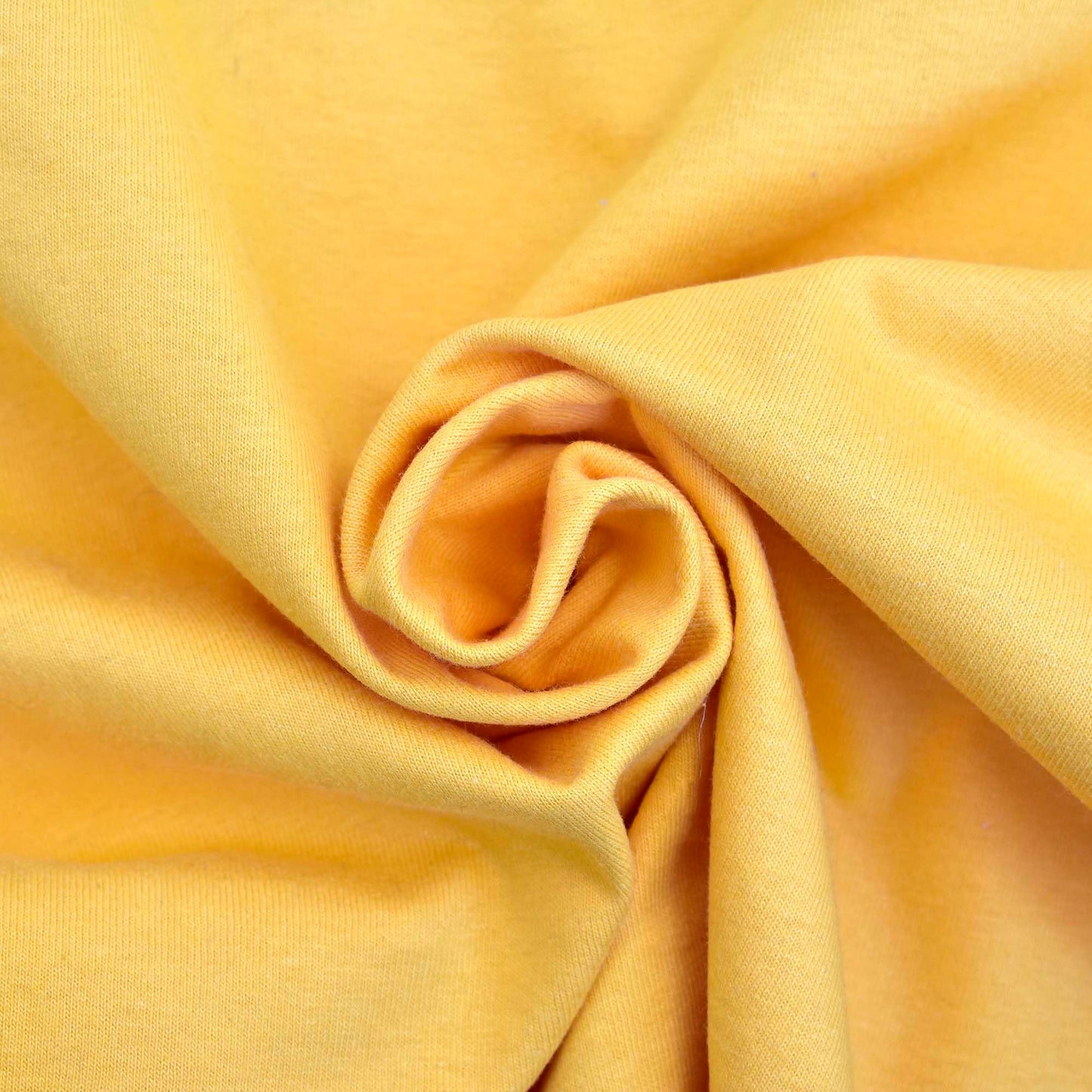 Sigma Gamma Rho Sorority, Incorporated T-Shirt- Divine and Sorority Name Design