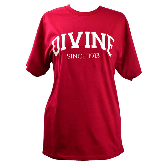Delta Sigma Theta Sorority, Incorporated T-Shirt- Divine and Sorority Name Design
