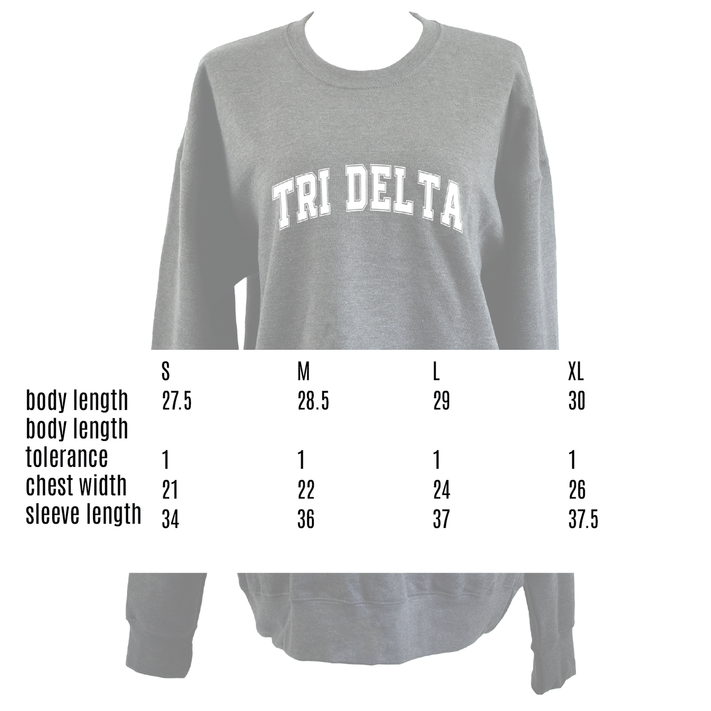 Alpha Gamma Delta Sweatshirt- Crewneck Varsity Letters Design