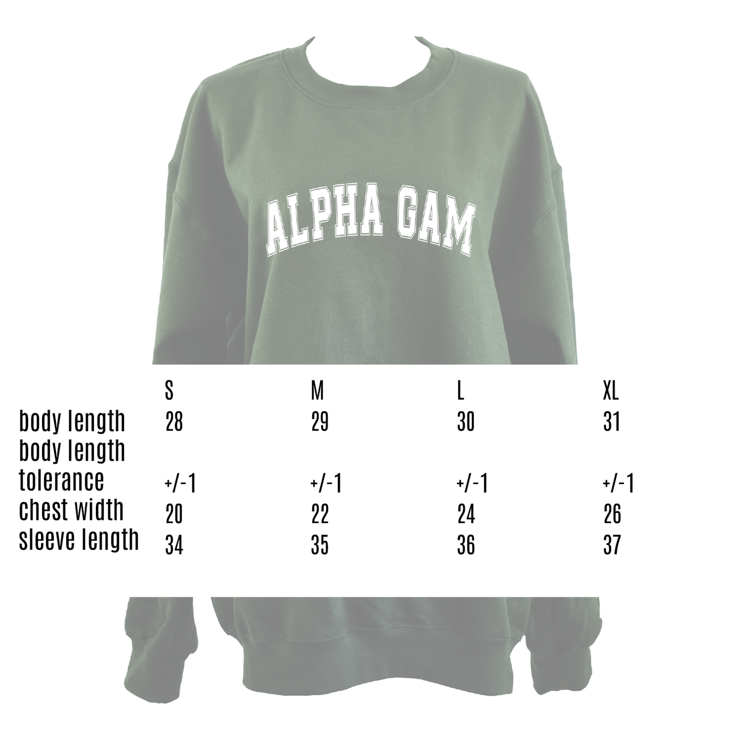 Alpha Gamma Delta Sweatshirt- Crewneck Varsity Letters Design