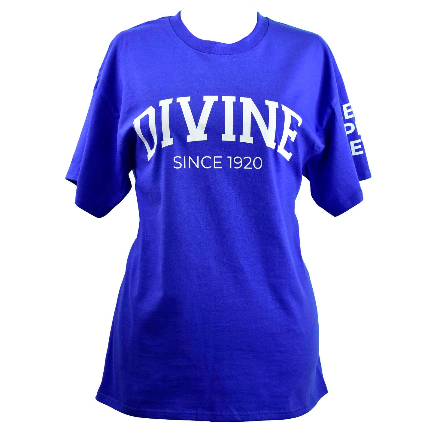 Zeta Phi Beta Sorority, Incorporated T-Shirt- Divine and Sorority Name Design