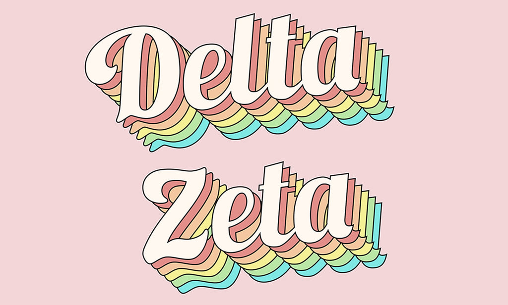 Delta Zeta retro flag